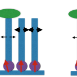 diagram.png