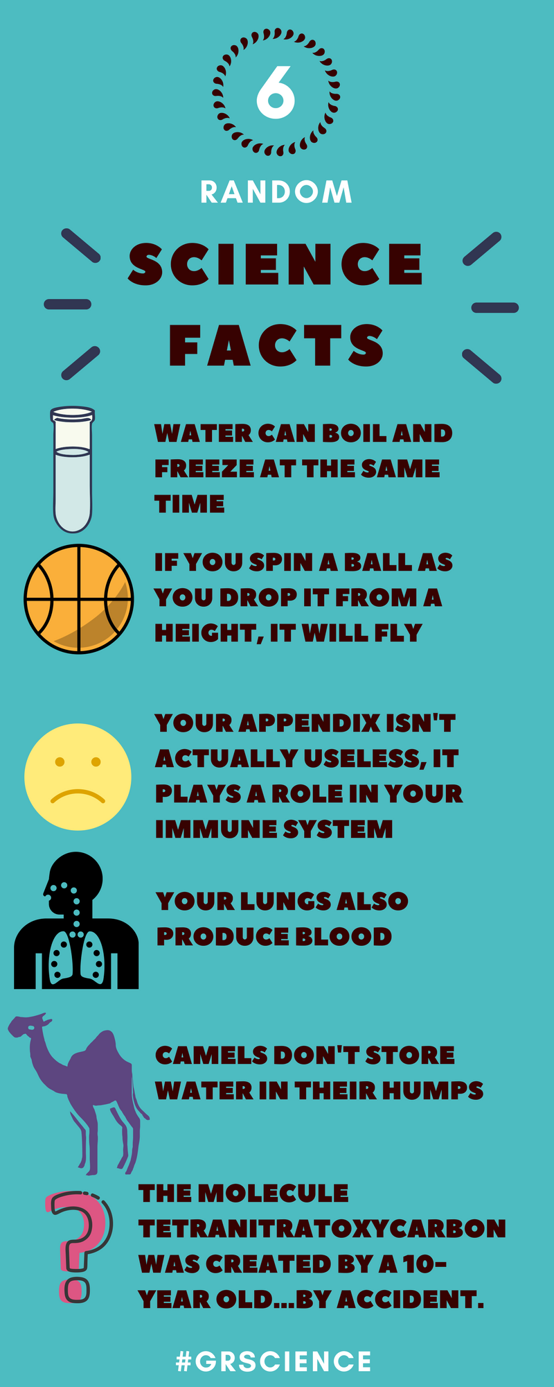 Science Facts Gair Rhydd