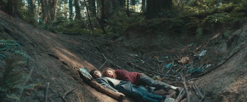 Swiss Army Man