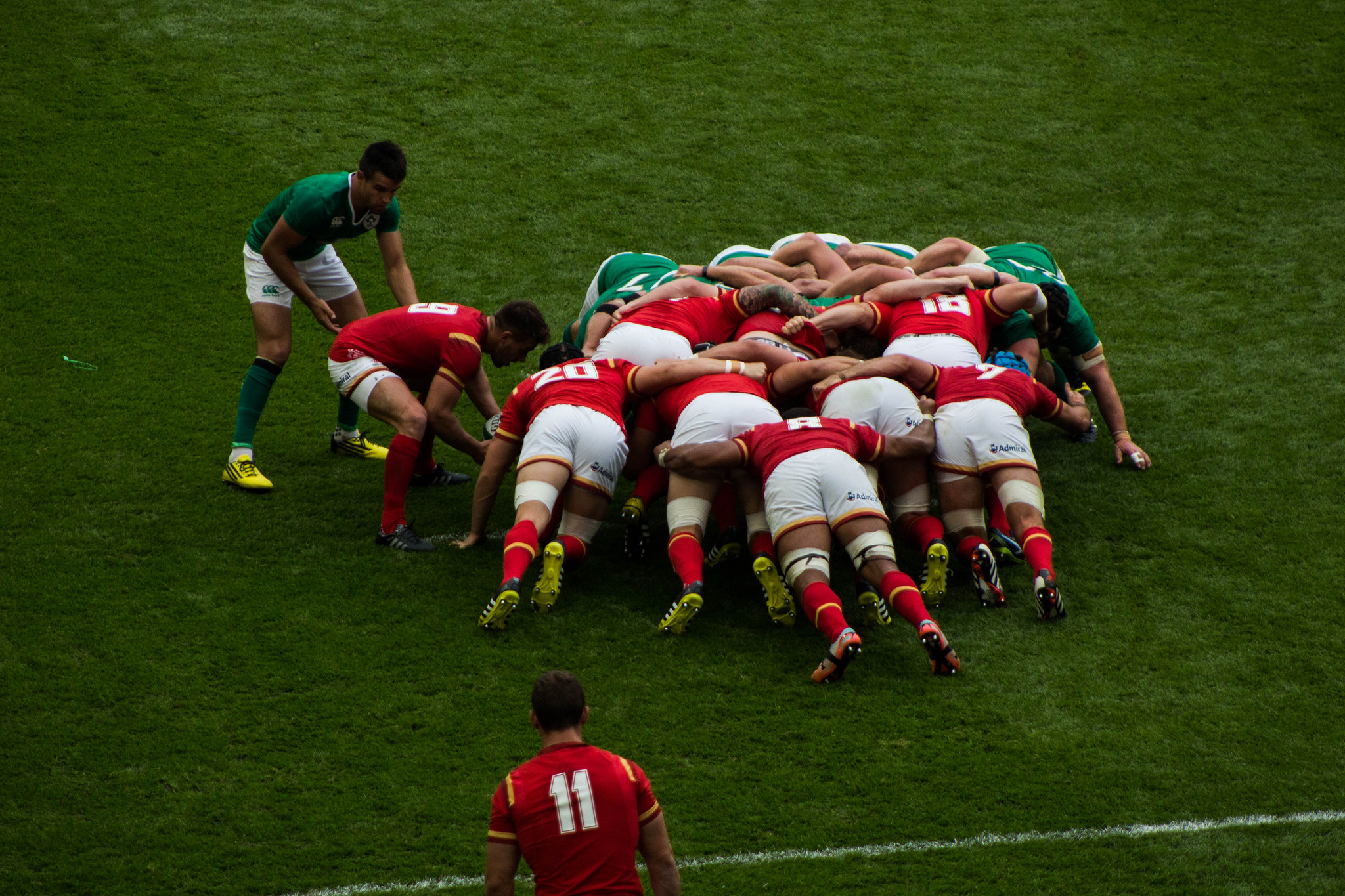 Wales Rugby Team