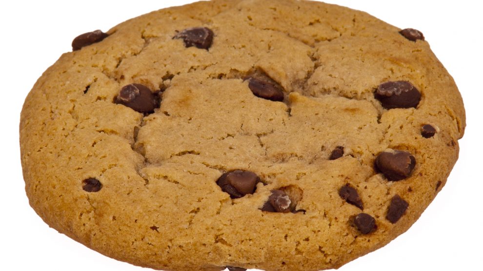 First cookie cooked in space Gair Rhydd