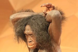 Neanderthal model