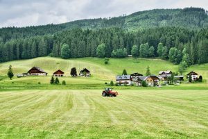 food farming