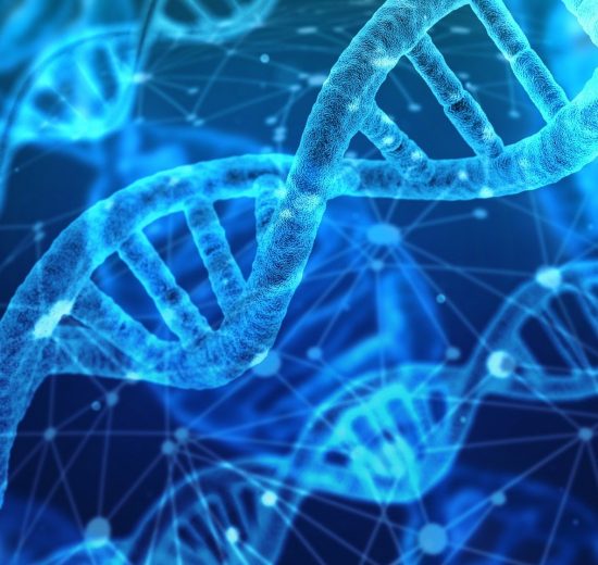 COVID-19 genome