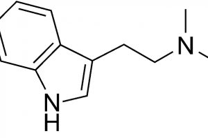 Psychedelic drug DMT