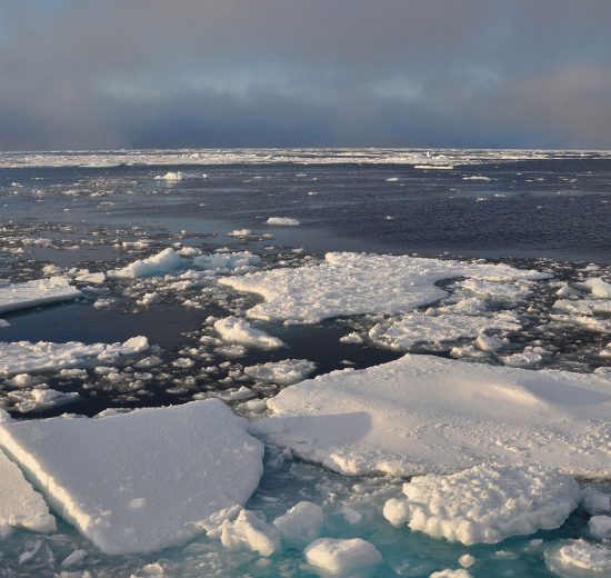 melted arctic