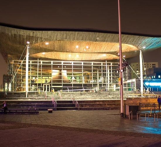 Senedd election