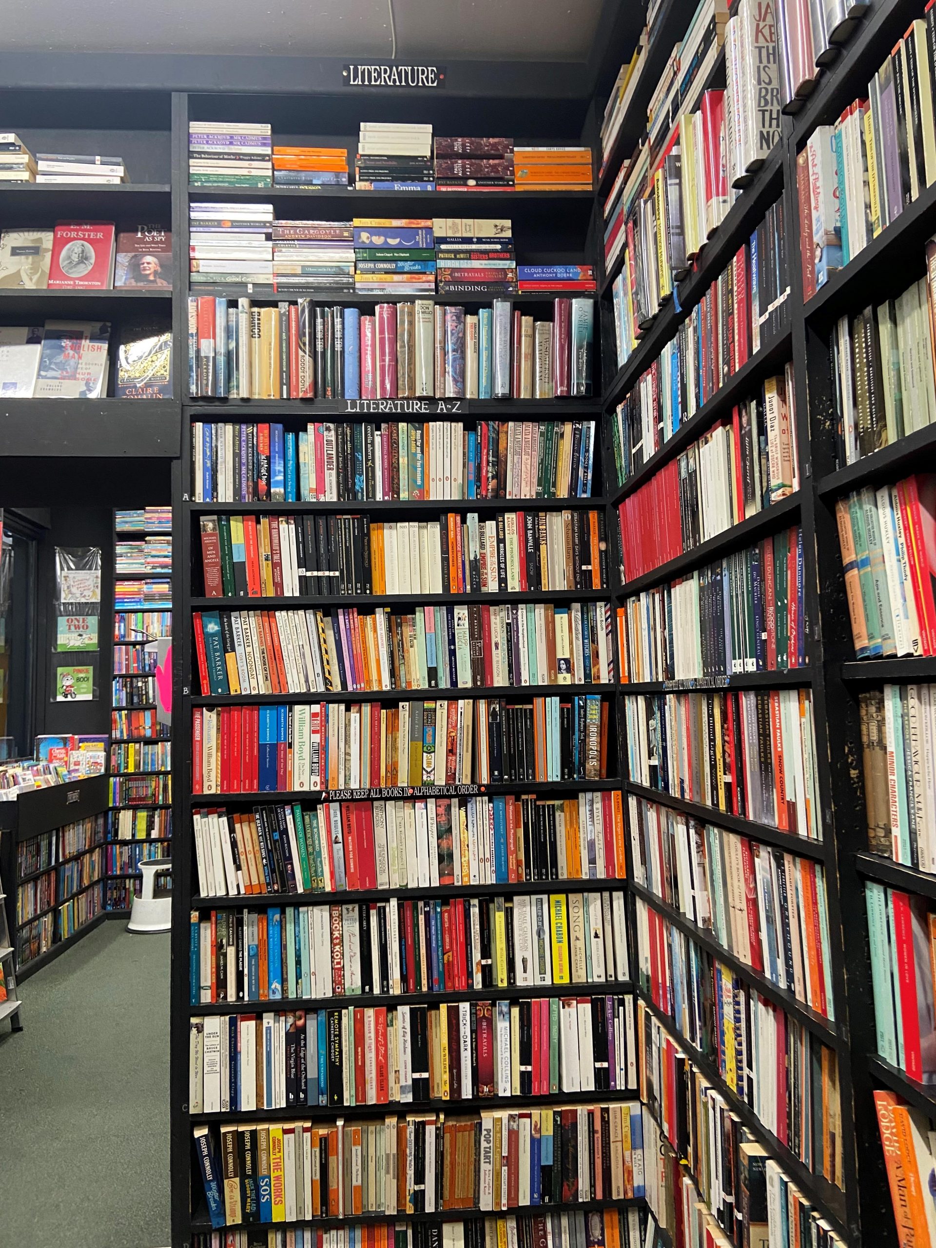 Large black shelves filled with books