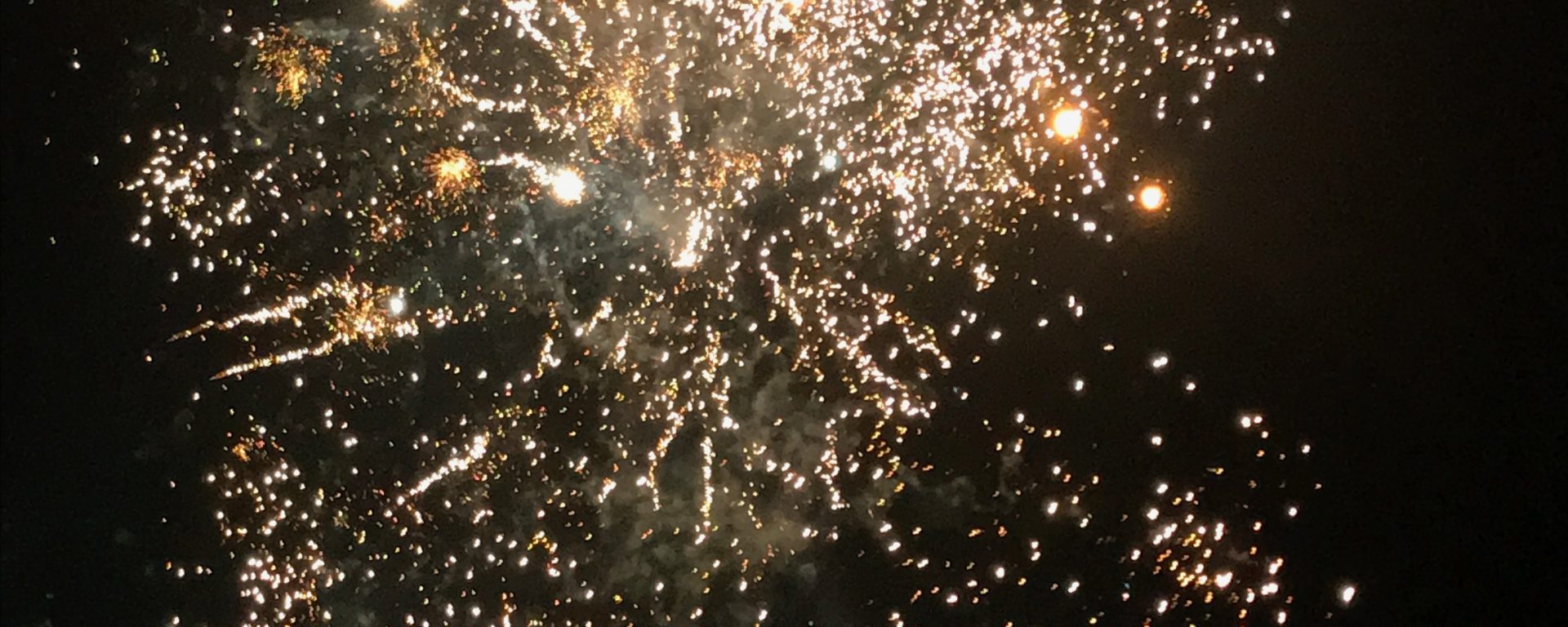 New Years Fireworks display - credits Ellen Hollingshurst (@a_bakingmess)