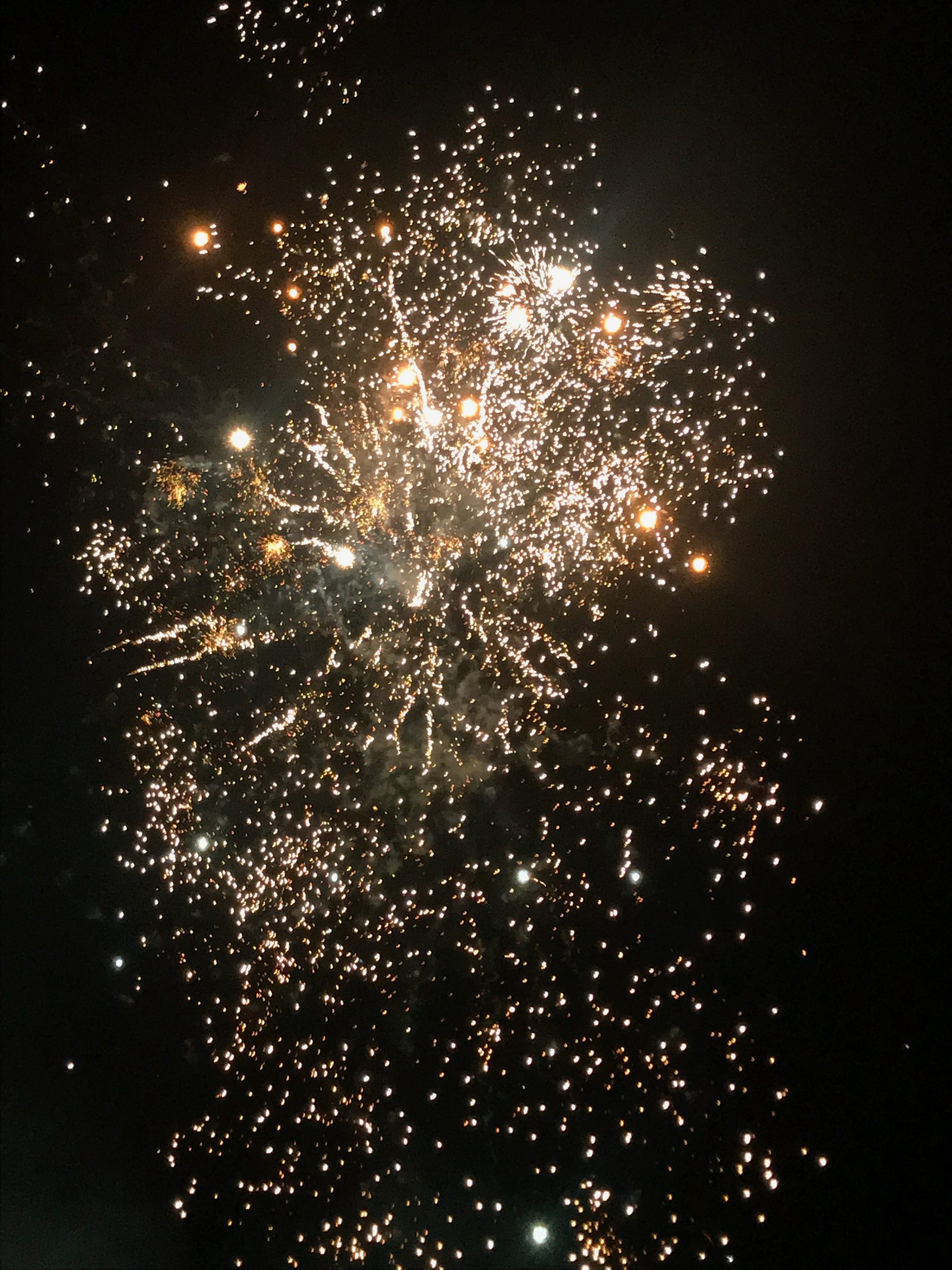 New Years Fireworks display - credits Ellen Hollingshurst (@a_bakingmess)