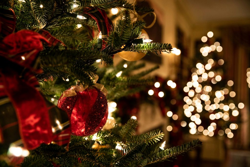 Close-up view of a red bauble on a Christmas tree