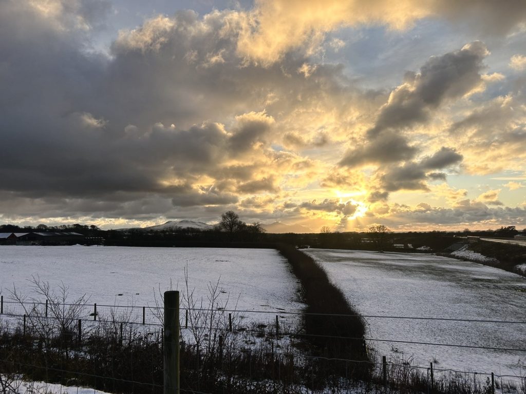 Llun gan Lili Ray un o olygyddion Clebar, o eira mis Ionawr eleni