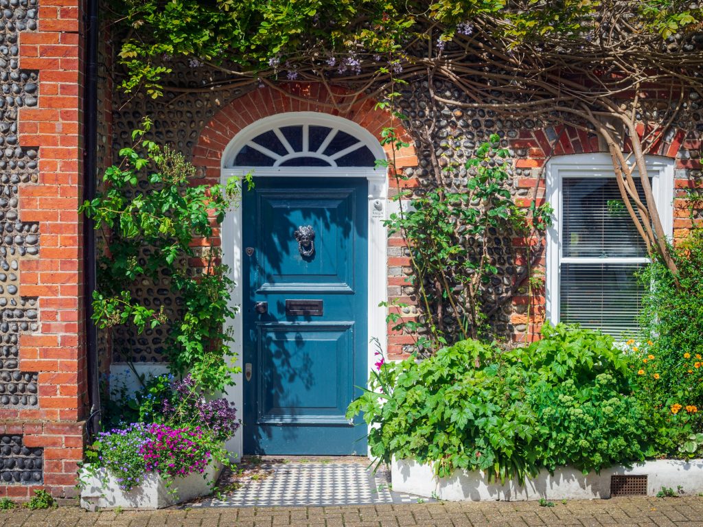 House front door, wisteria and plants outside