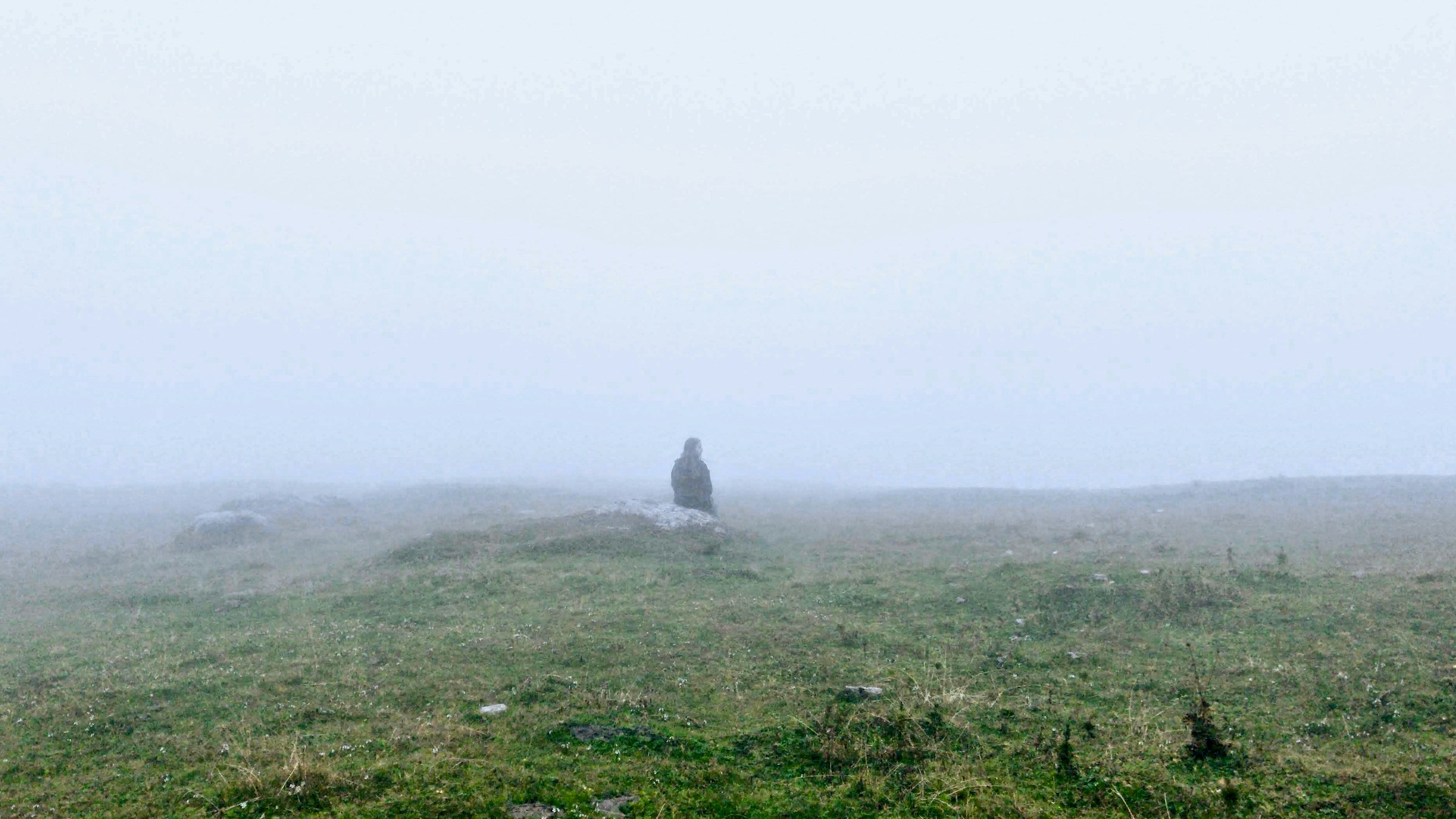 Field on a foggy day. Someone sits on a rock in the distance.